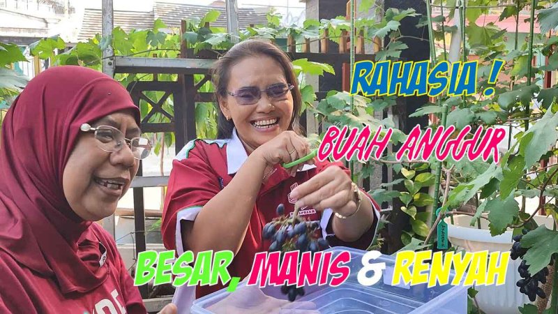 Gabah Bawa! Rahasia Banget Nge-Grow Buah Organik di Rumah 🤘